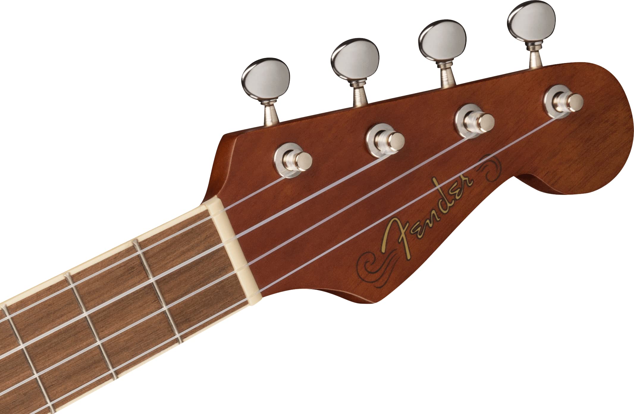 Amazon.co.jp: Fender フェンダー ウクレレ Avalon Tenor Ukulele